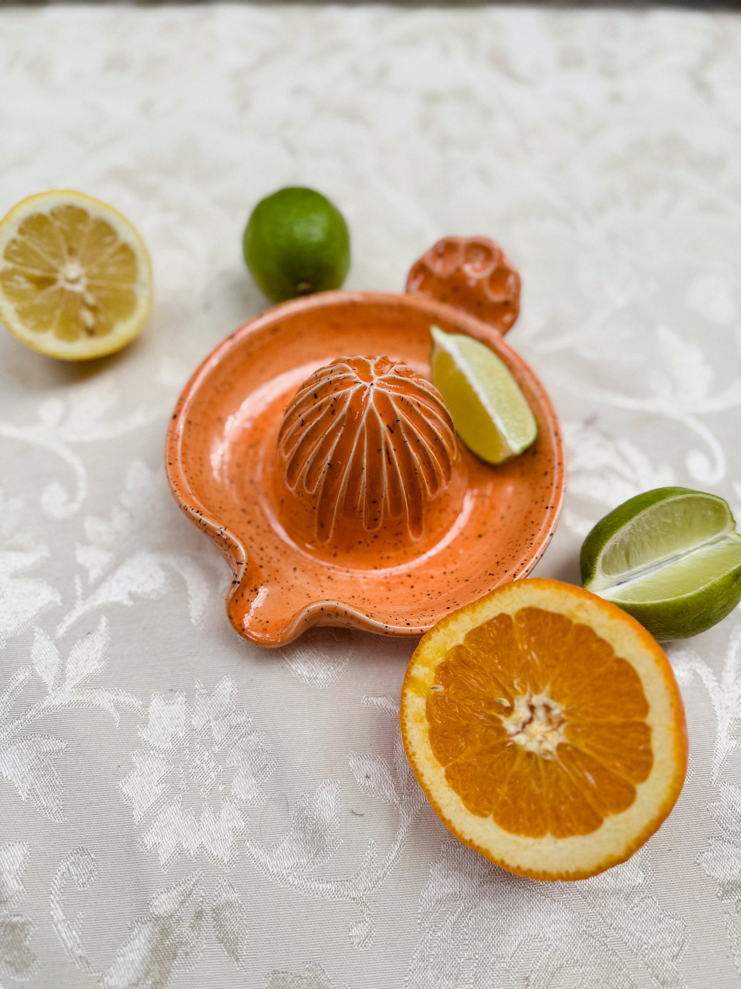 Citrus Juicer