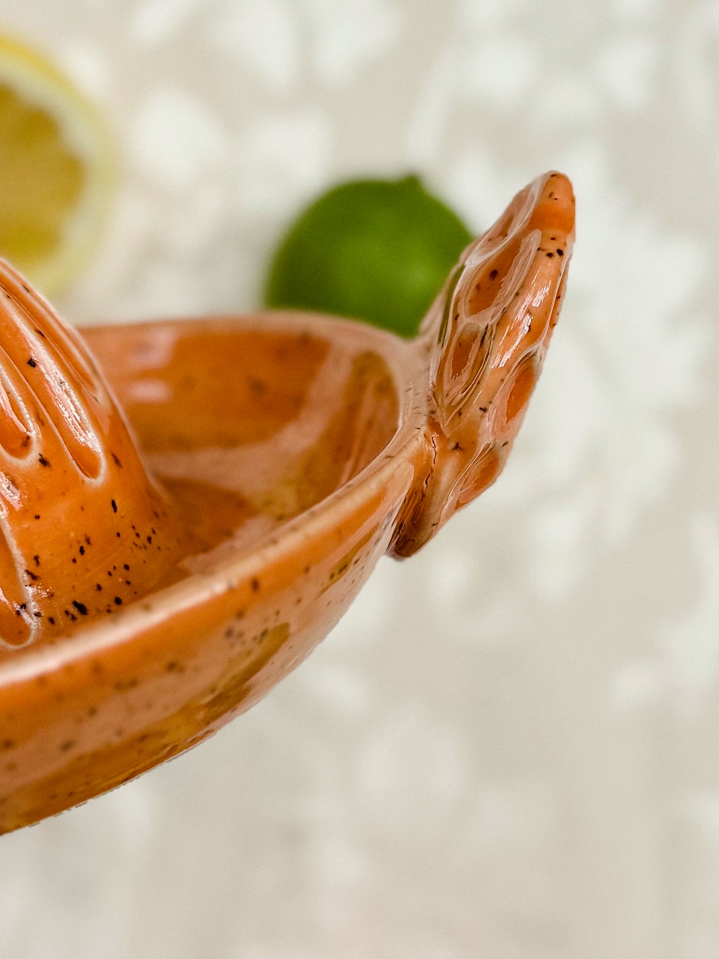 Citrus Juicer
