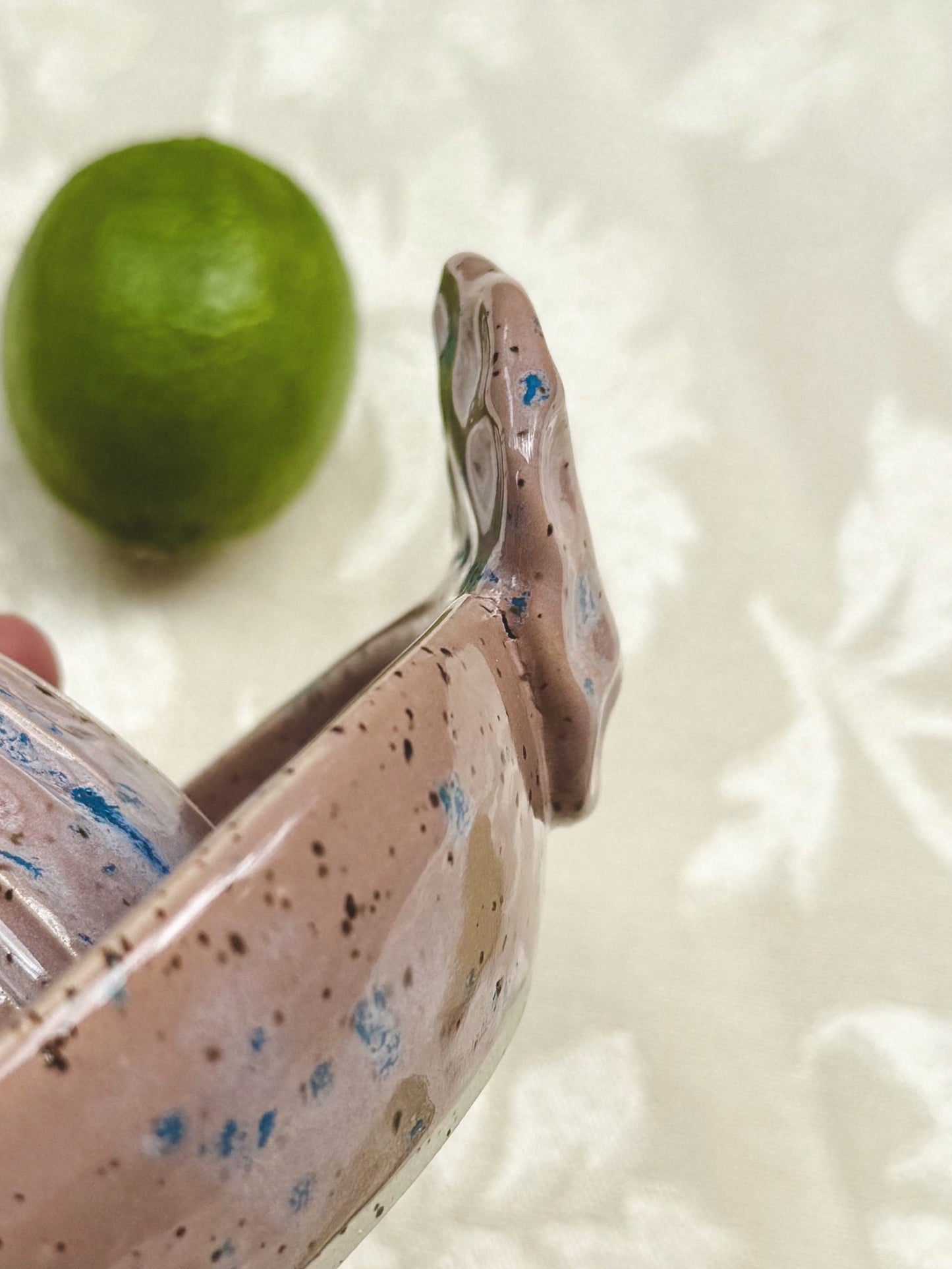 Citrus Juicer