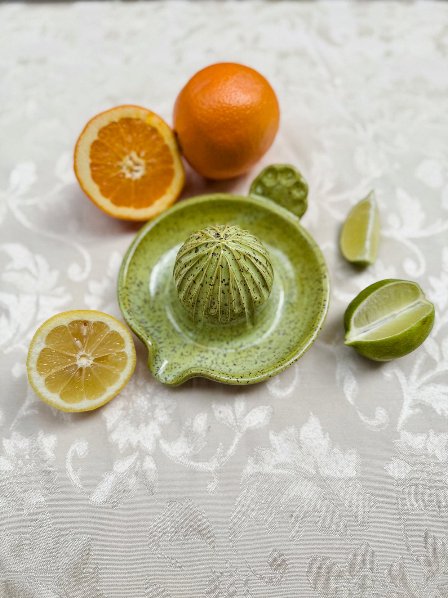 Citrus Juicer