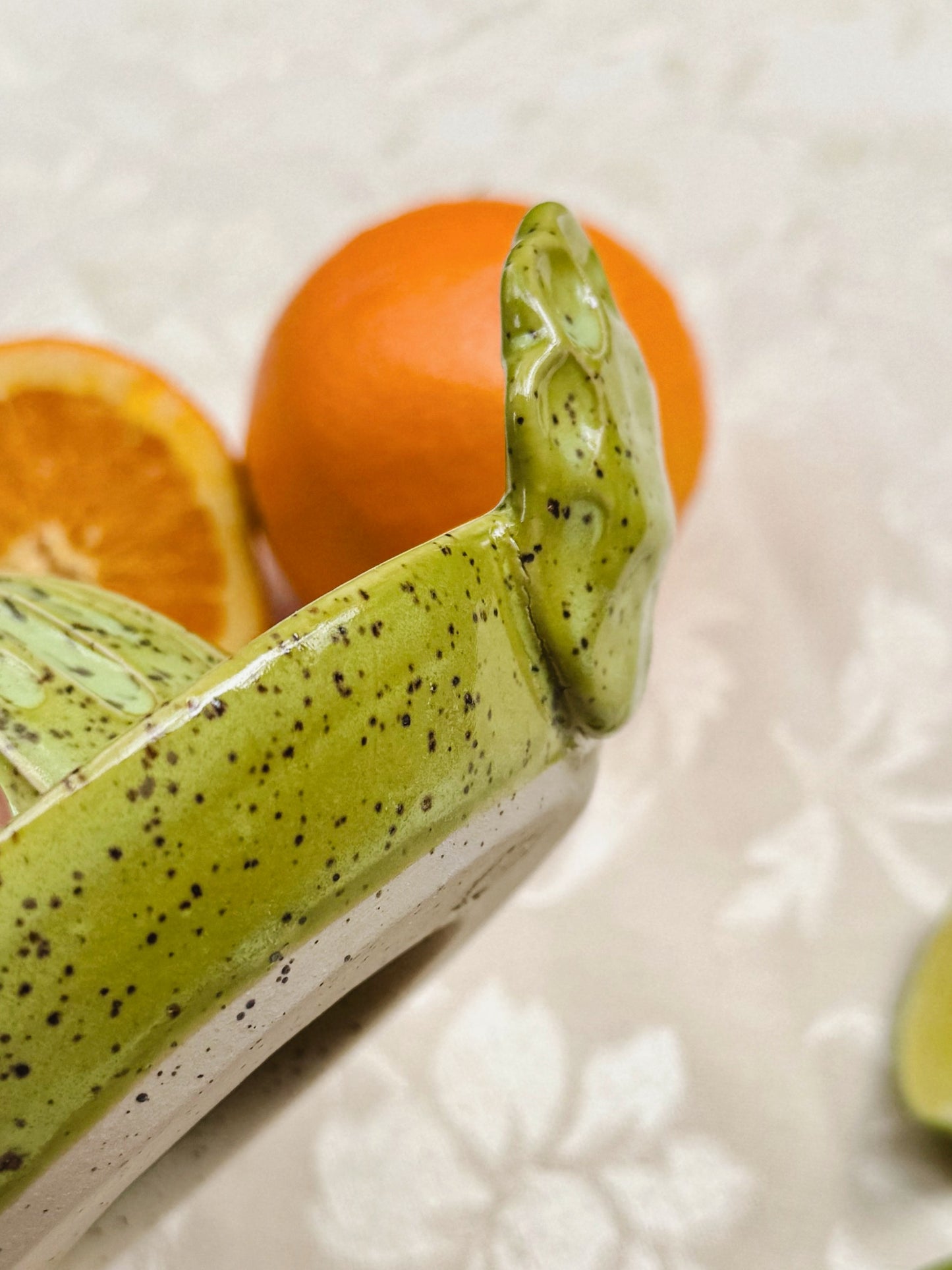 Citrus Juicer