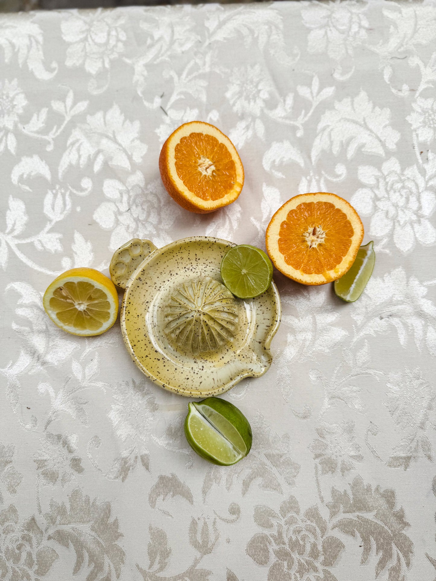 Citrus Juicer