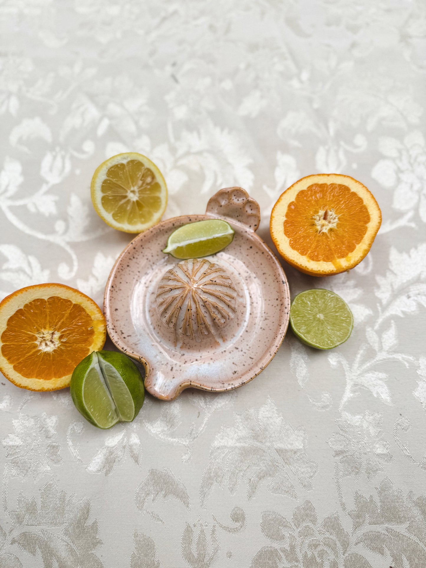 Citrus Juicer