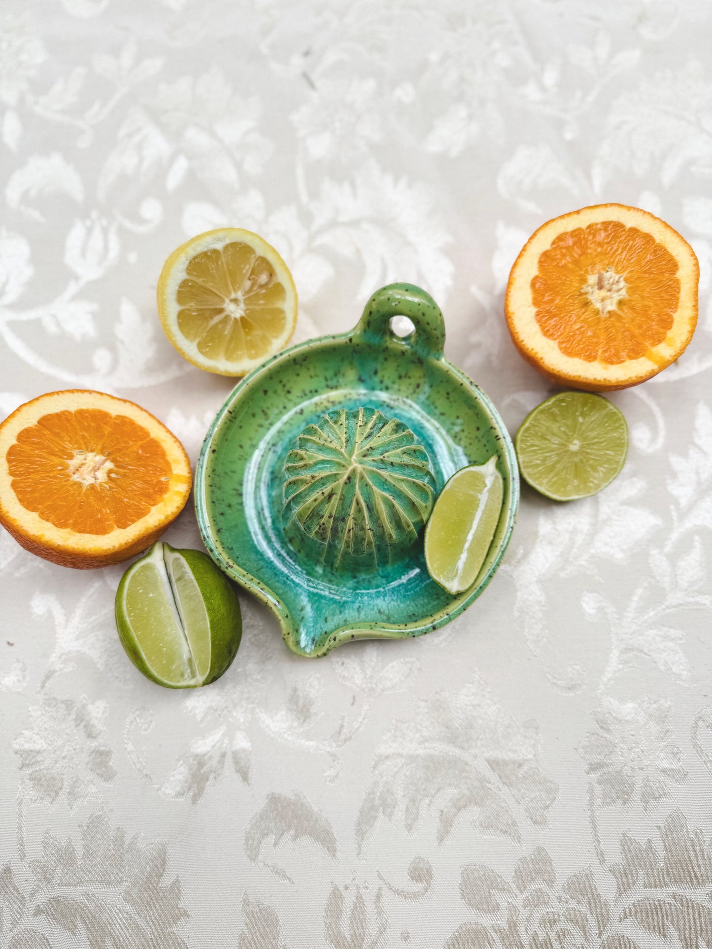 Citrus Juicer