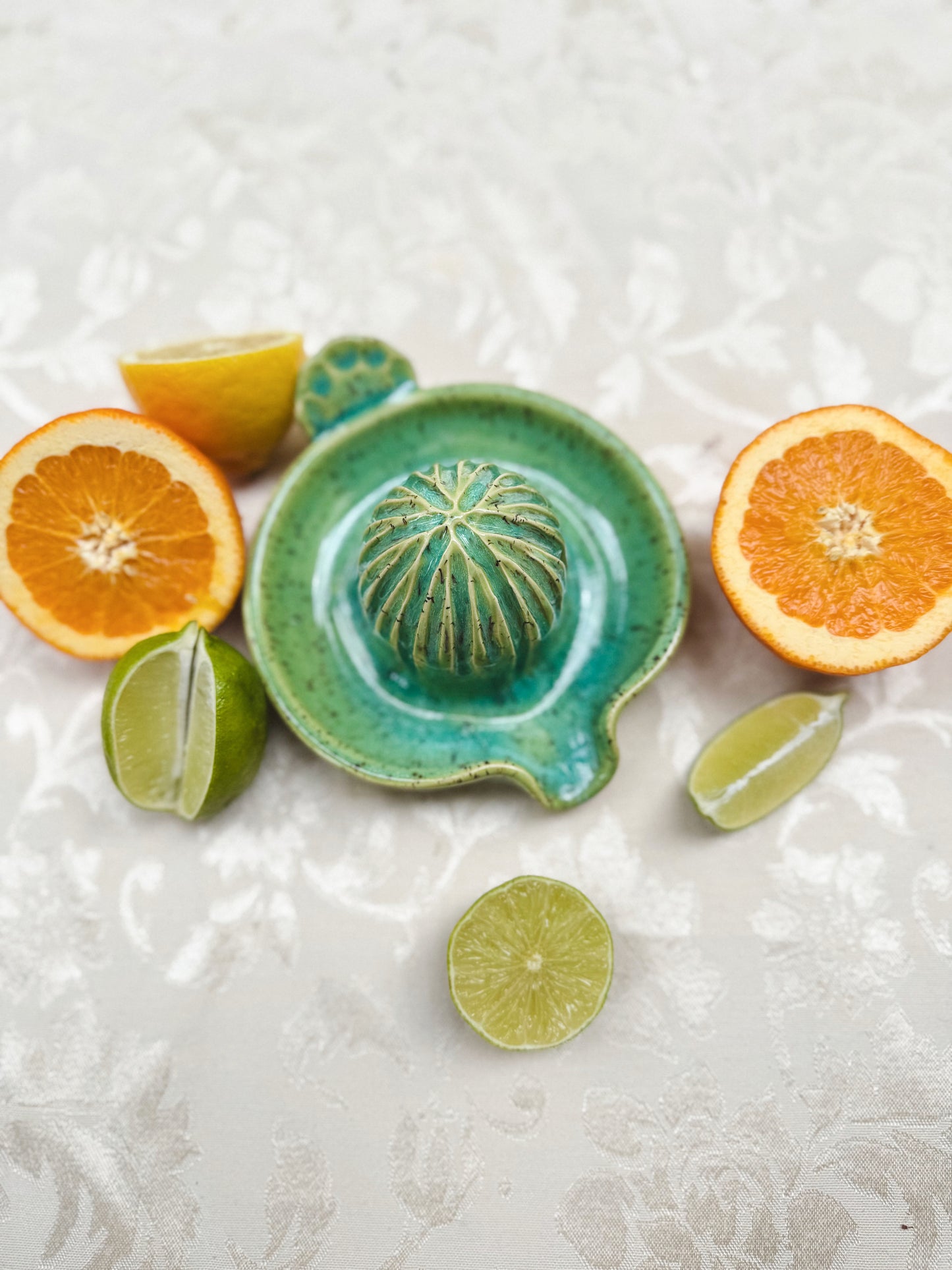 Citrus Juicer