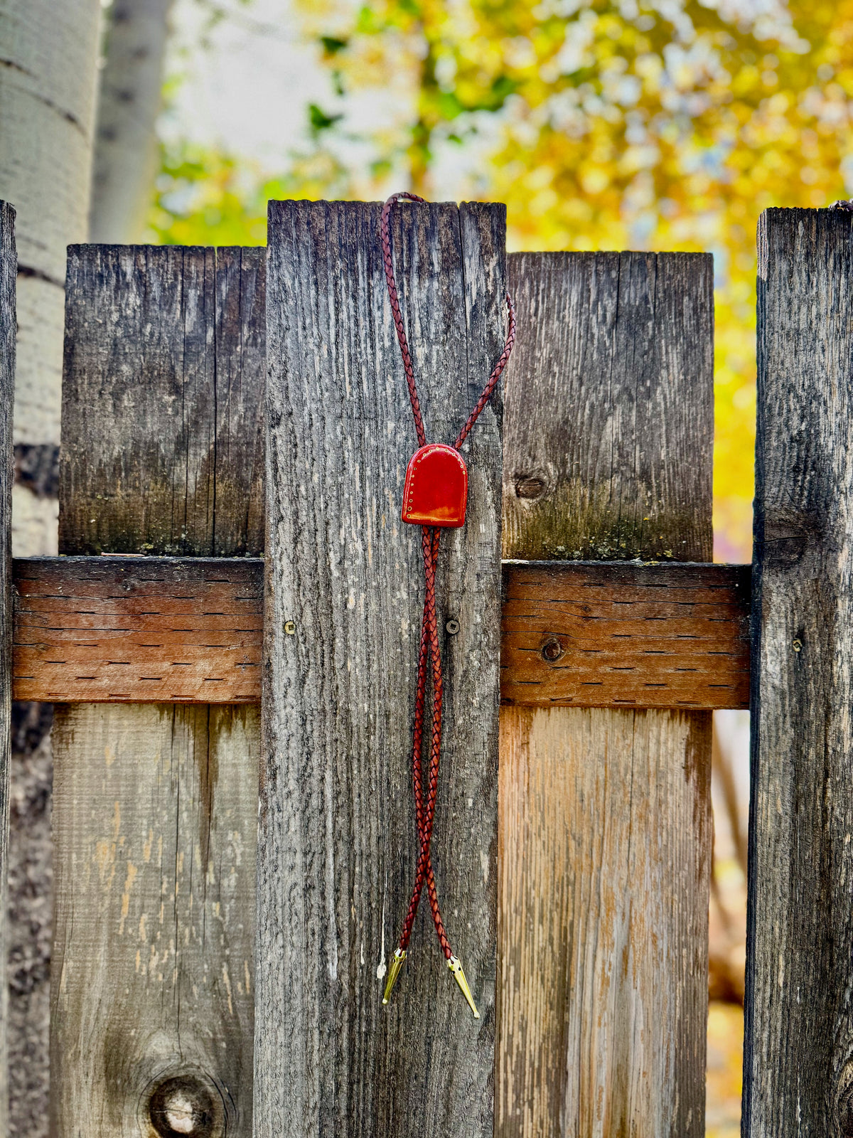 Bolo Tie