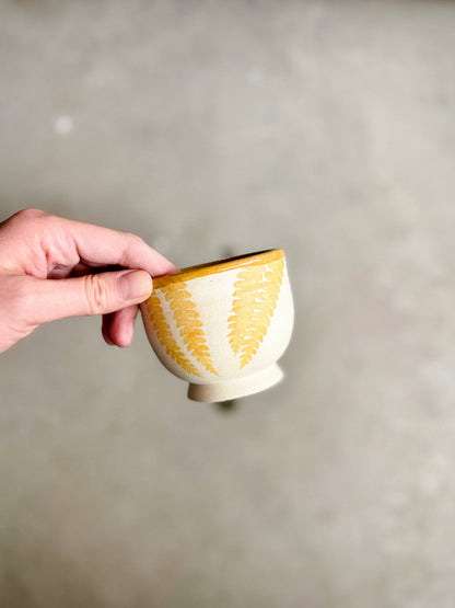Lil Cup