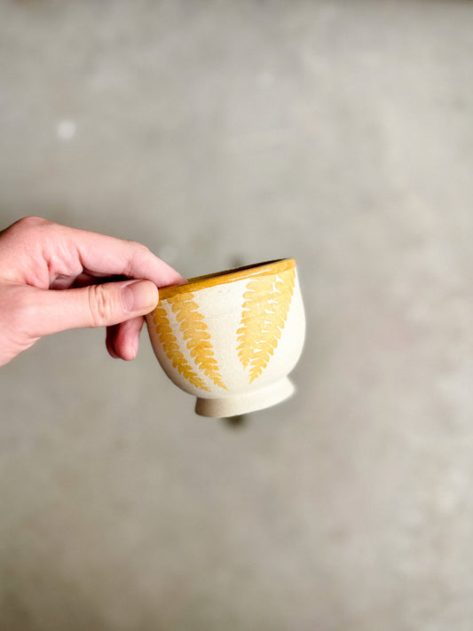 Lil Cup