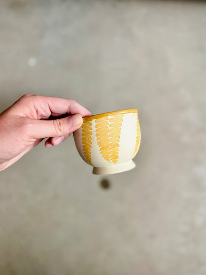 Lil Cup