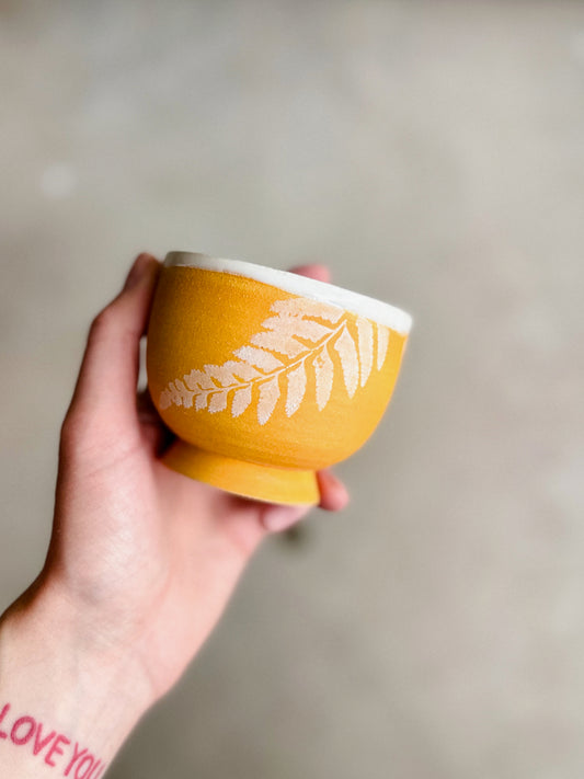 Lil Cup