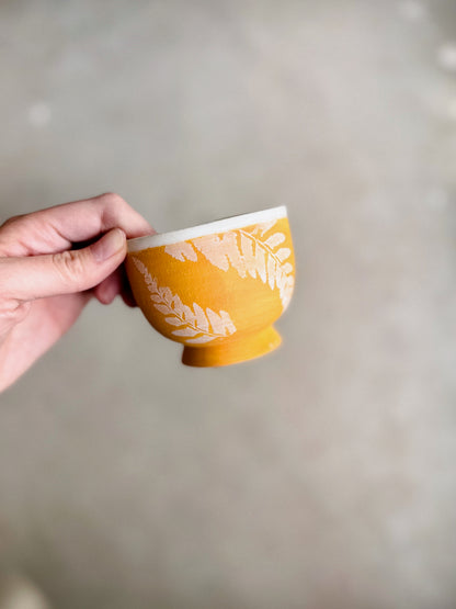 Lil Cup