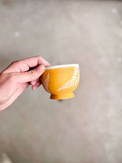 Lil Cup