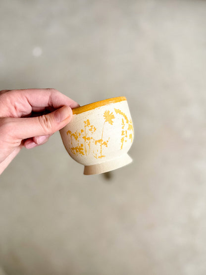 Lil Cup