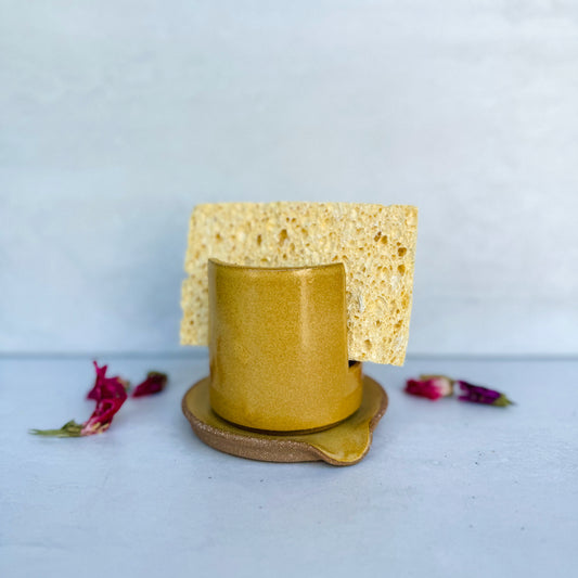 Sponge Holder