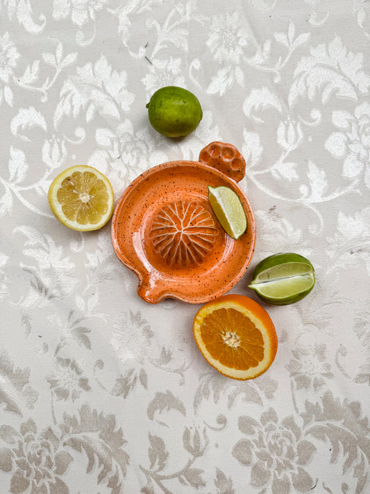 Citrus Juicer