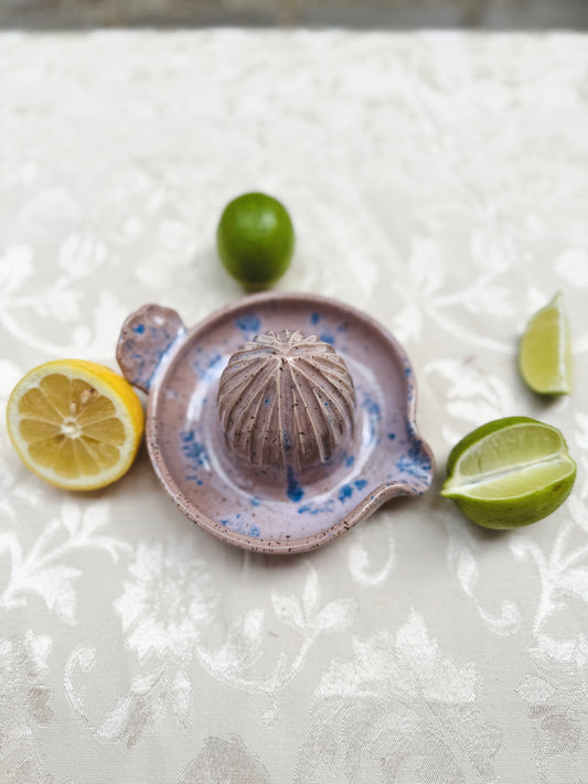 Citrus Juicer