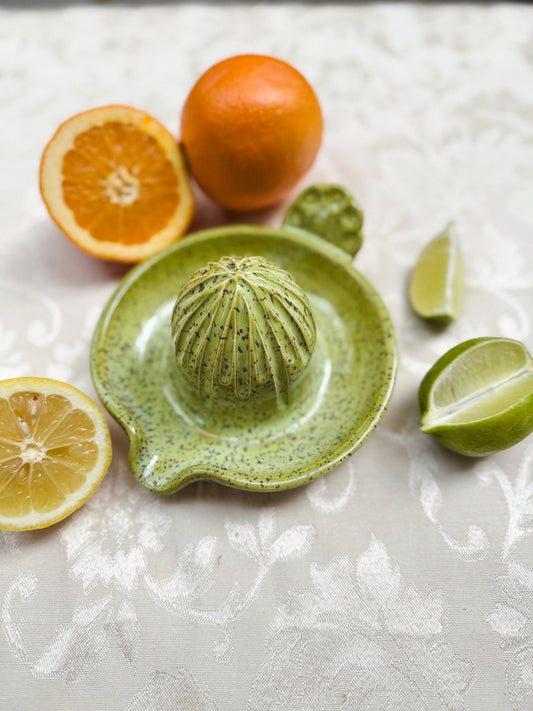 Citrus Juicer