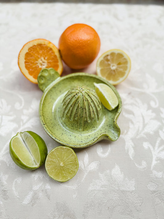 Citrus Juicer