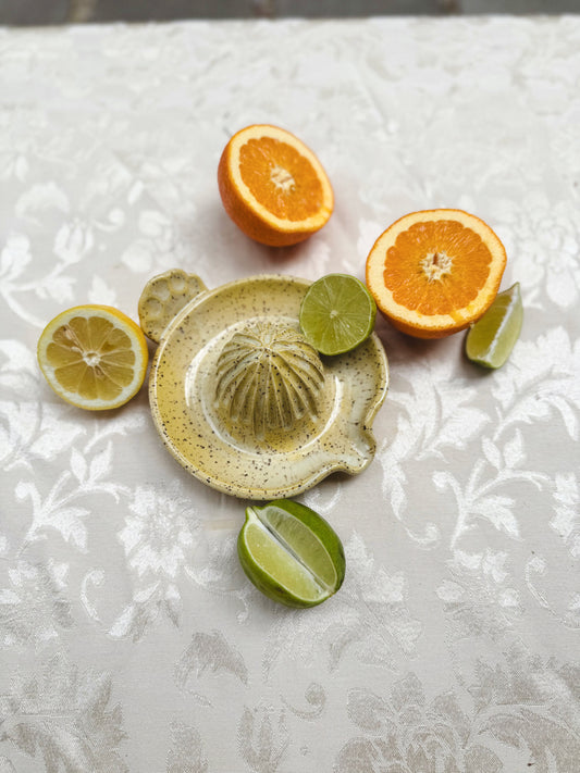 Citrus Juicer