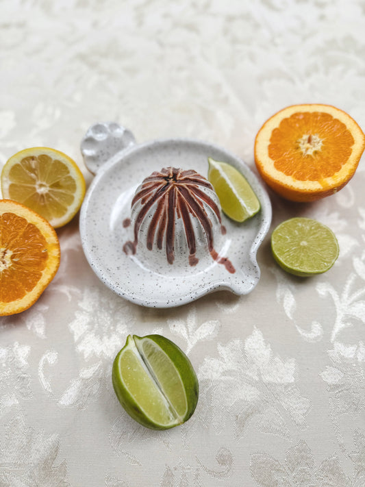 Citrus Juicer