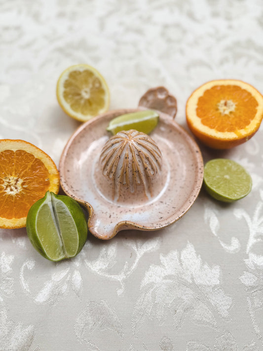 Citrus Juicer