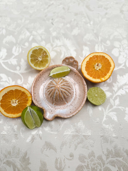 Citrus Juicer