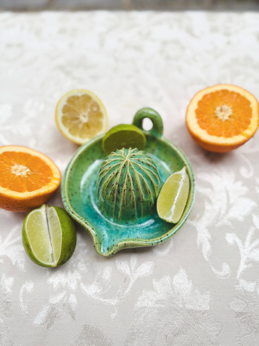 Citrus Juicer