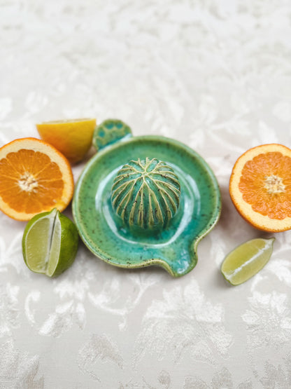 Citrus Juicer