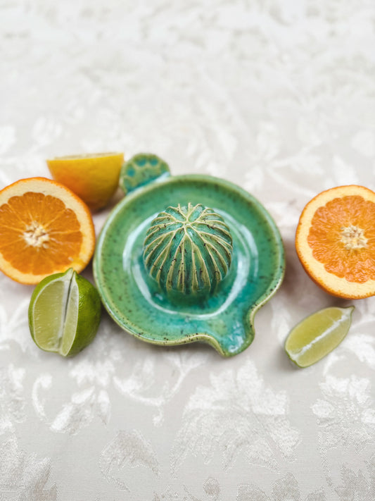 Citrus Juicer