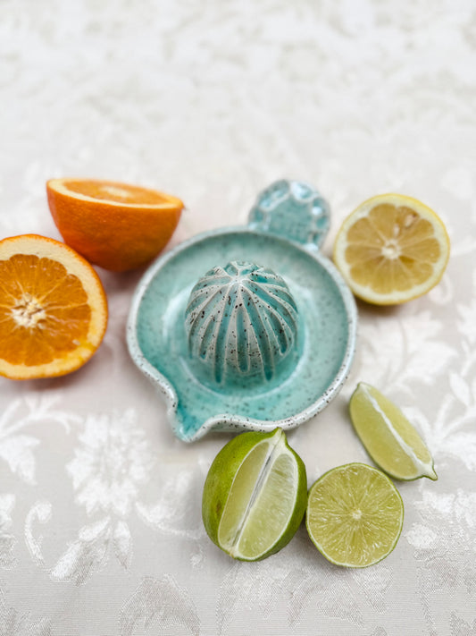Citrus Juicer
