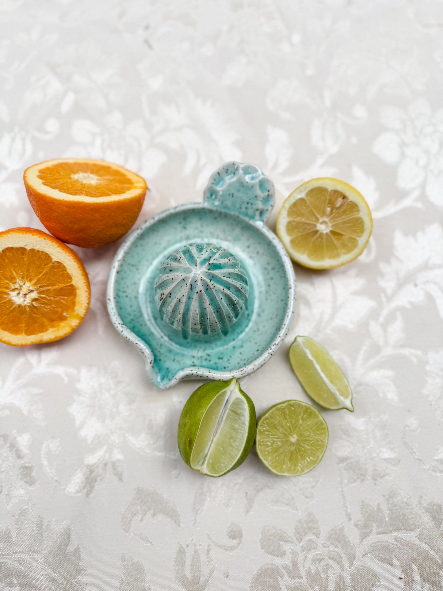 Citrus Juicer