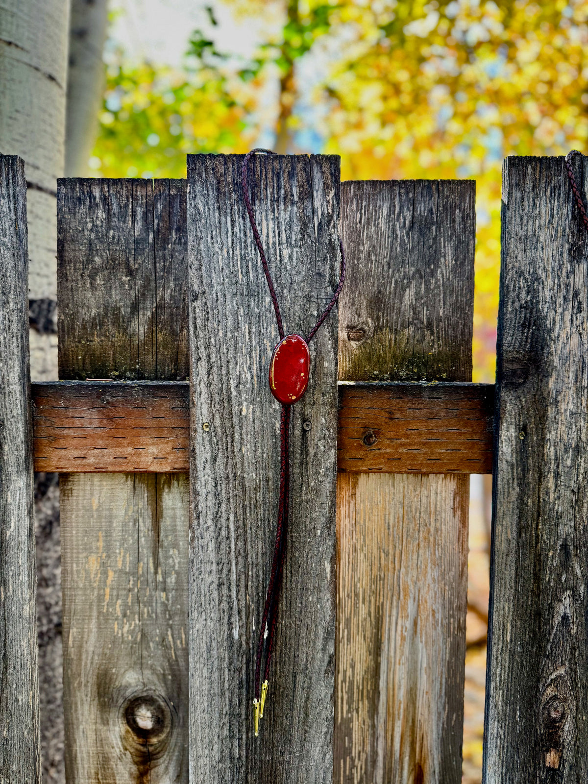 Bolo Tie