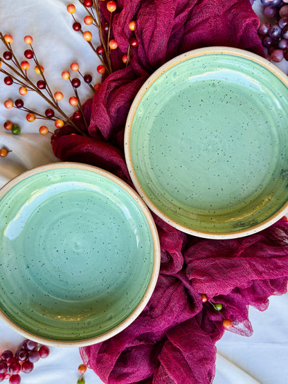 Plowl/Blate Set