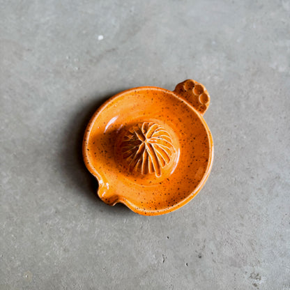 Citrus Juicer